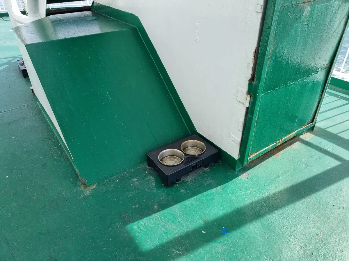 Due ciotole d’acqua in acciaio in un supporto nero, in un angolo di un ponte esterno verde, contro una parete bianca e una verde